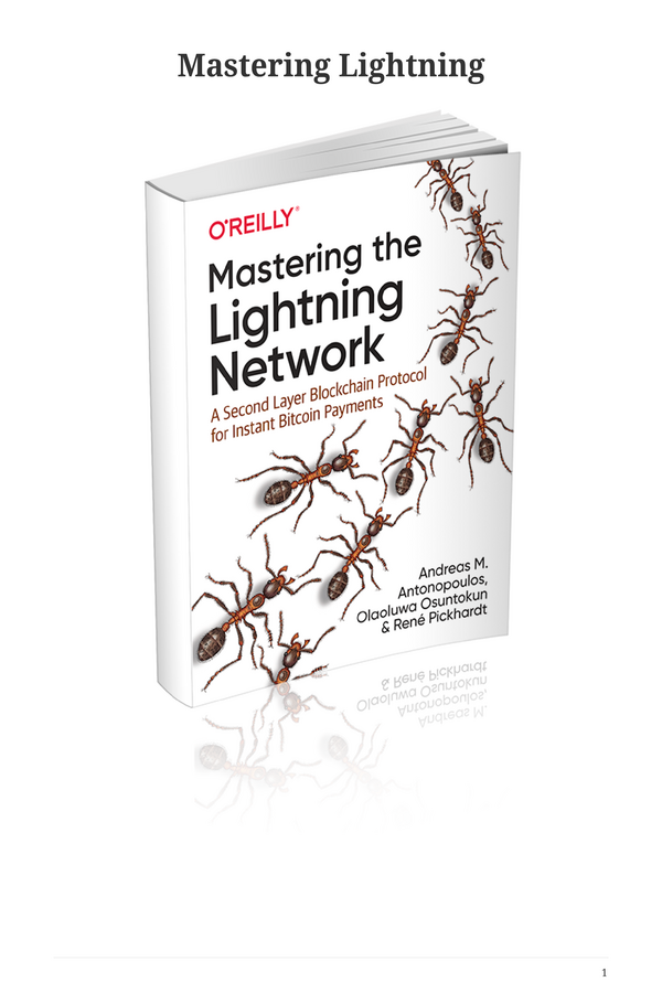 Mastering the Lightning Network
